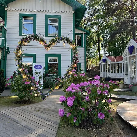Lavender Palanga