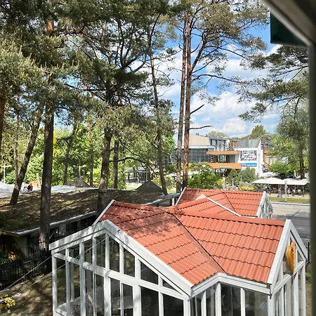 Lavender Apartment