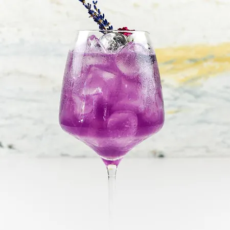 Apartment Lavender *
